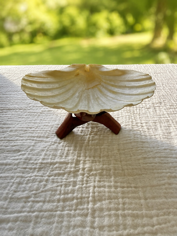King Scallop