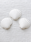 King Scallop