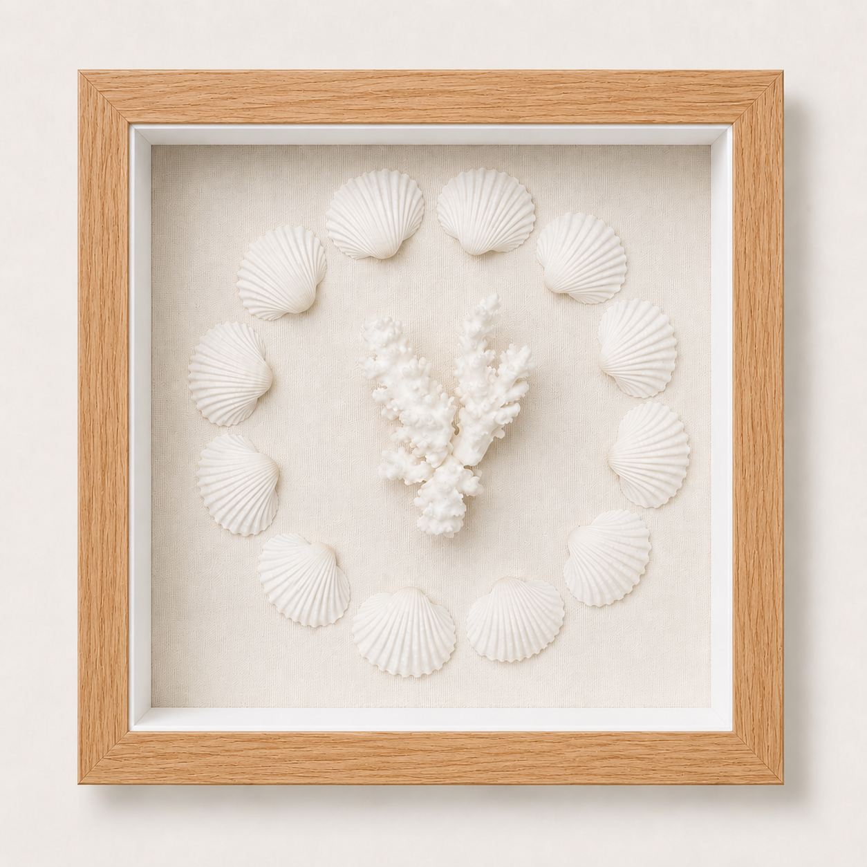 Cardium Clam & Brownstem Coral Shadow Box