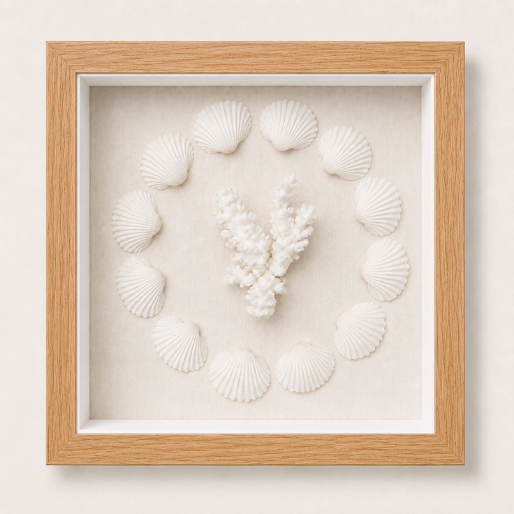 Cardium Clam & Brownstem Coral Shadow Box