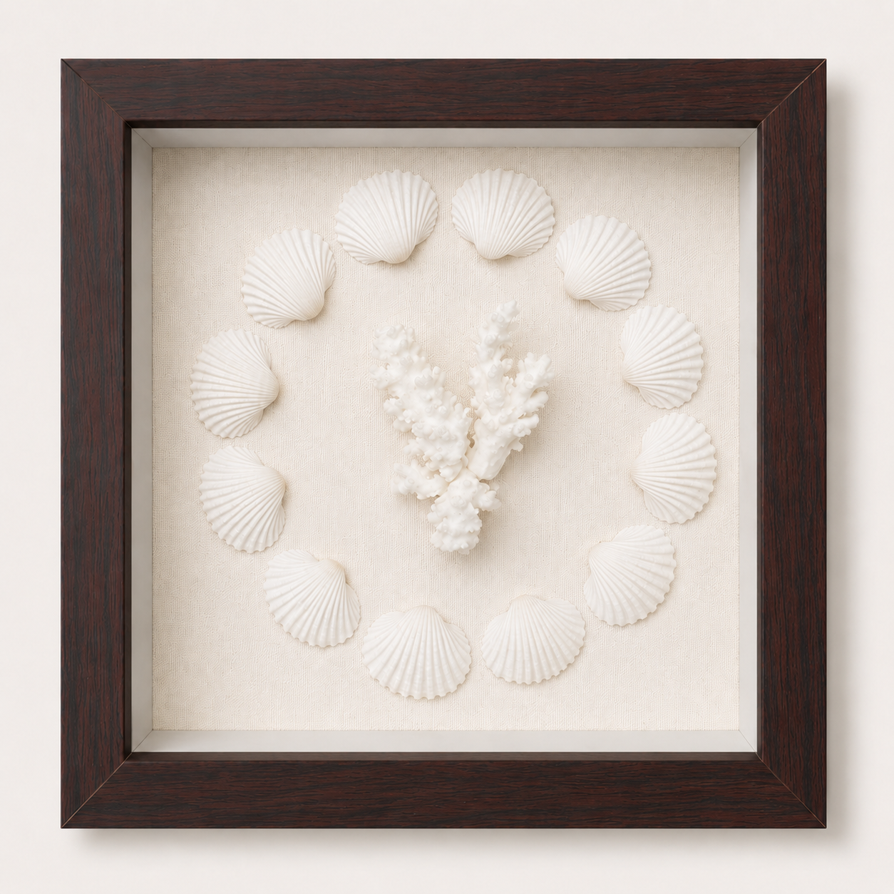 Cardium Clam & Brownstem Coral Shadow Box
