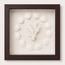 Cardium Clam & Brownstem Coral Shadow Box