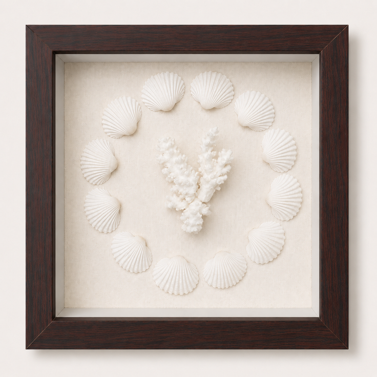 Cardium Clam & Brownstem Coral Shadow Box