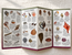 Shells of Florida’s Coast Field Guide