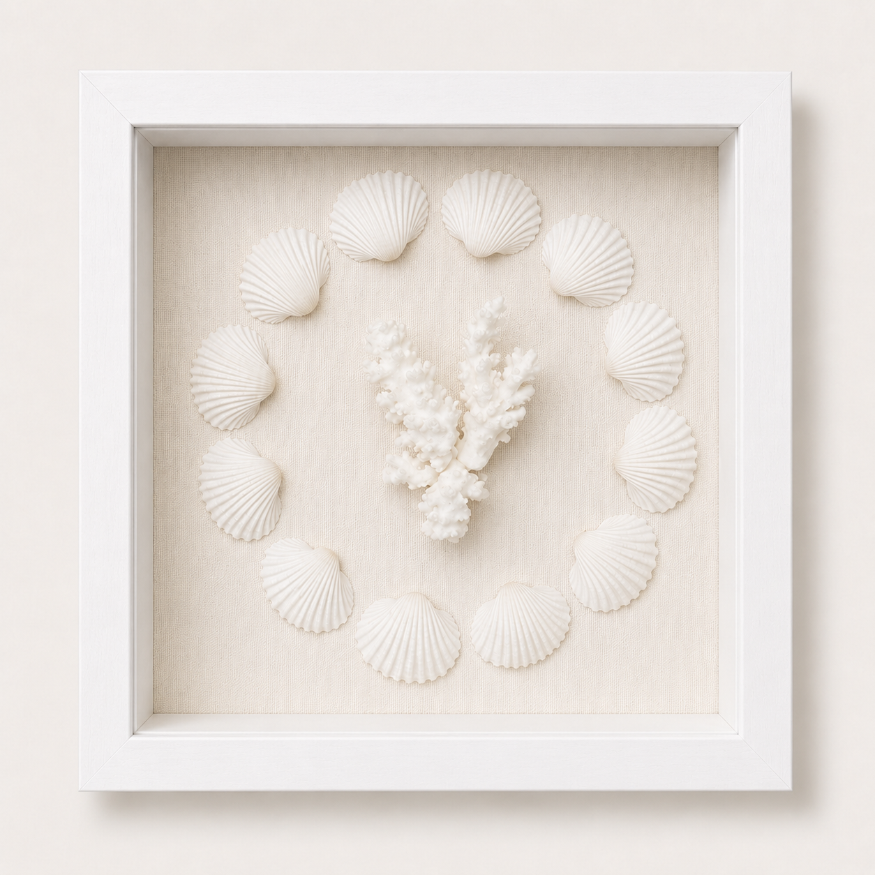 Cardium Clam & Brownstem Coral Shadow Box