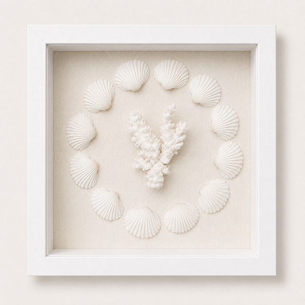 Cardium Clam & Brownstem Coral Shadow Box