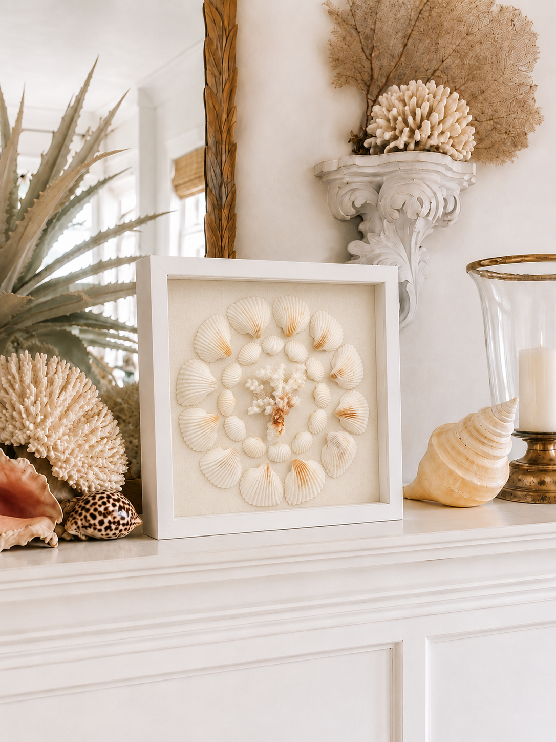 Cardium Clam & Brownstem Coral Shadow Box