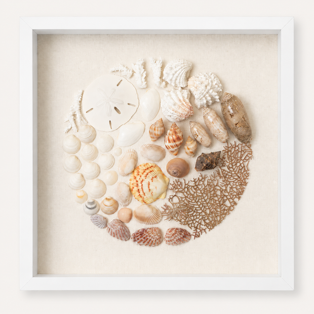 Florida Coast Mosaic Shadow Box