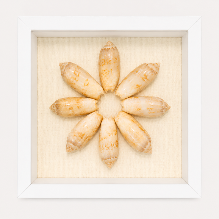 Lettered Olive Shadow Box