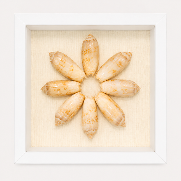 Lettered Olive Shadow Box
