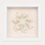 Maple Leaf Shadow Box