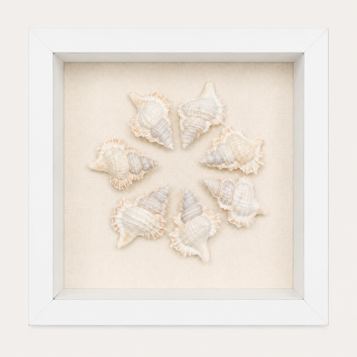 Maple Leaf Shadow Box