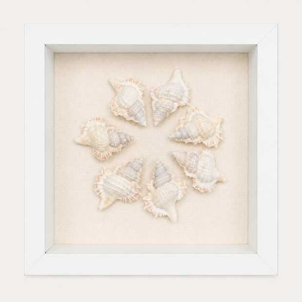 Maple Leaf Shadow Box