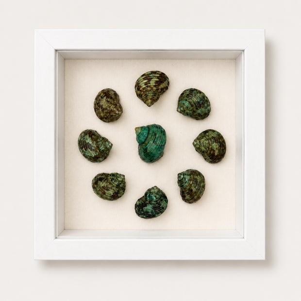Mini Green Turban Shadow Box