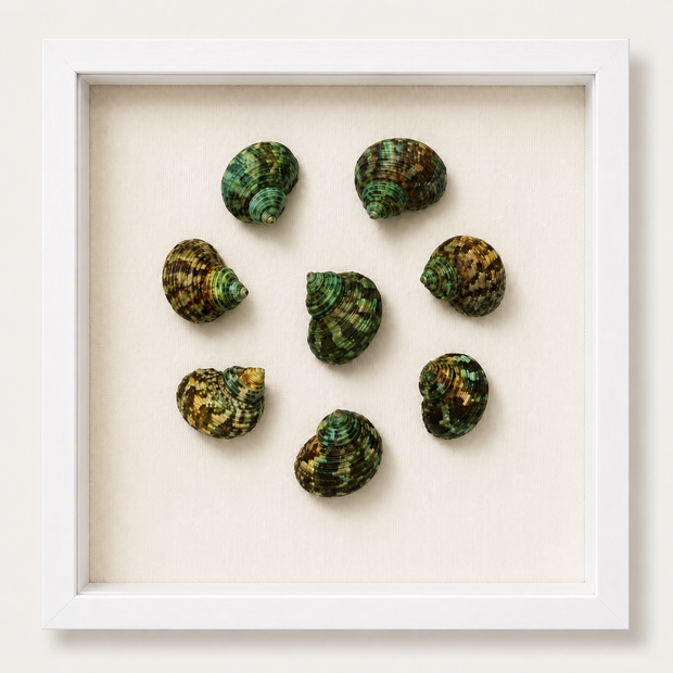 Mini Green Turban Shadow Box