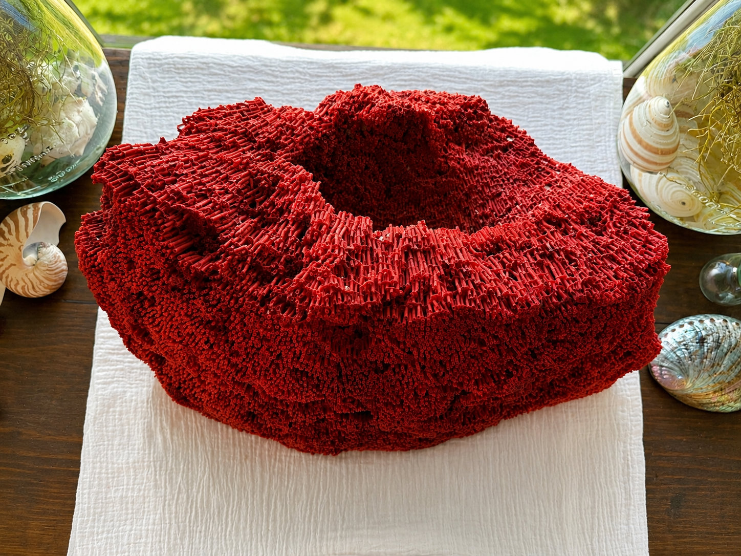 Red Organ Pipe Coral