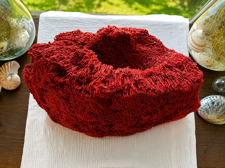 Red Organ Pipe Coral