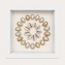 Ring Top Cowrie Shadow Box