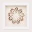 Spotted Babylon Shadow Box