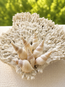 White Tibia