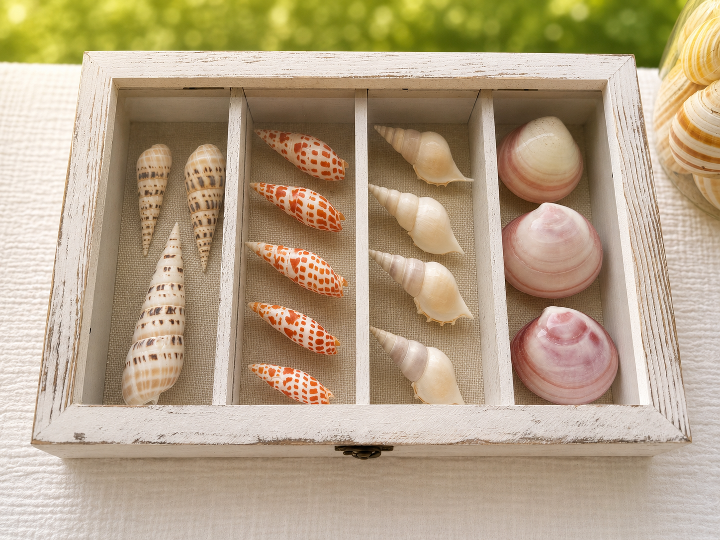 Episcopal Miter