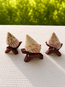Strawberry Trochus