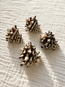 Horned Whelk