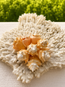 West Indian Fighting Conch
