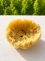 Florida Grass Sponge