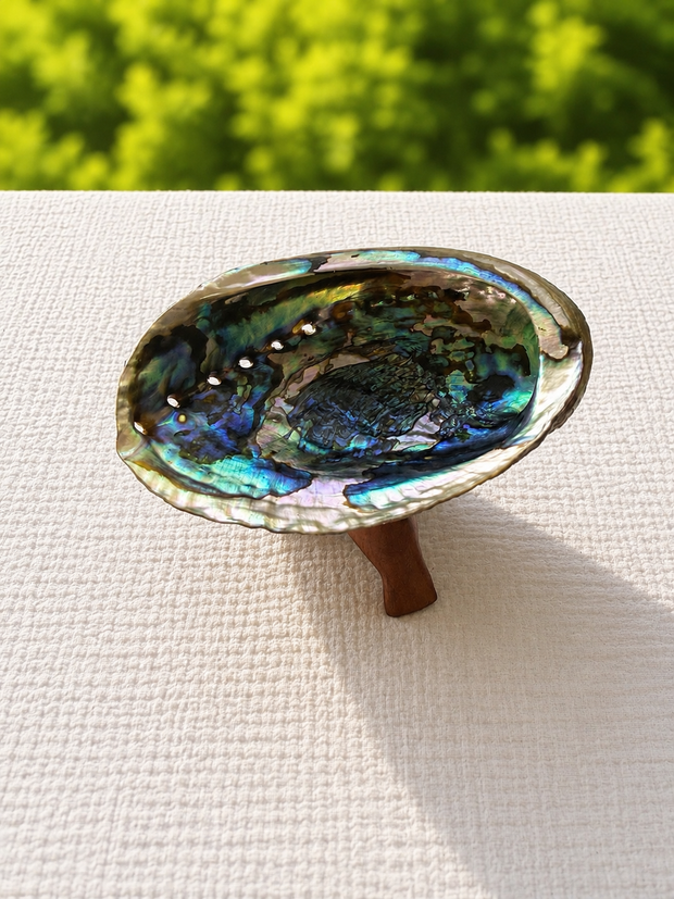 Green Abalone
