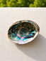 Green Abalone