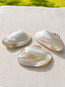 Cebu Clam