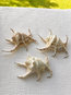Chiragra Spider Conch