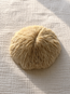 Mushroom Coral