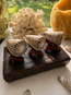 Lettered Cone Seashell