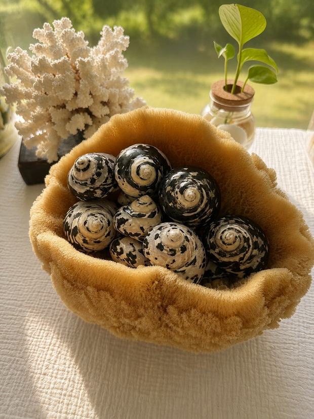 Magpie Turban