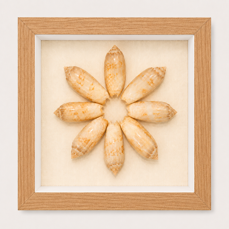 Lettered Olive Shadow Box