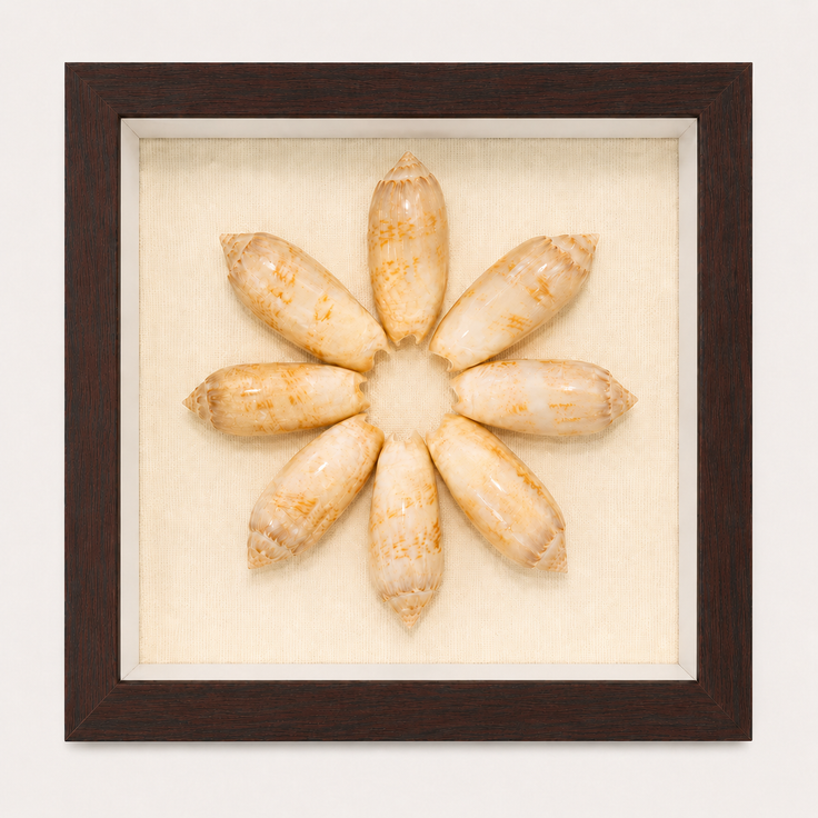 Lettered Olive Shadow Box