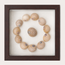 Lined Moon Snail Shadow Box