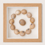 Lined Moon Snail Shadow Box