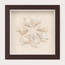 Maple Leaf Shadow Box