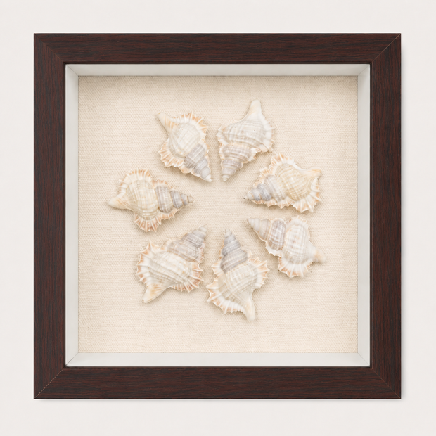Maple Leaf Shadow Box