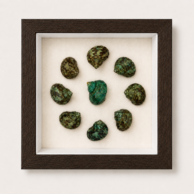 Mini Green Turban Shadow Box