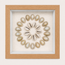 Ring Top Cowrie Shadow Box