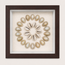 Ring Top Cowrie Shadow Box