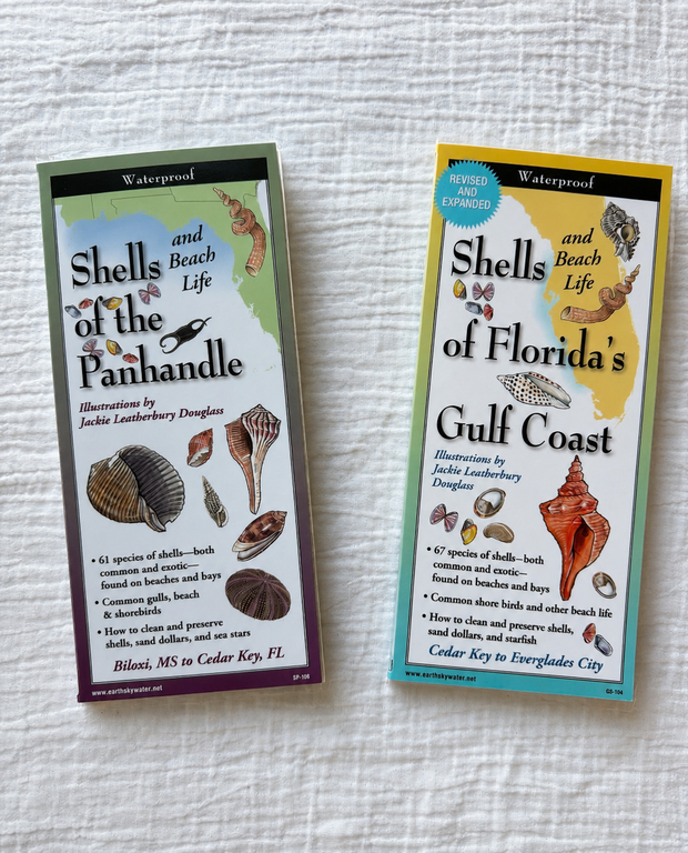 Shells of Florida’s Coast Field Guide